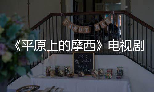 容官平西宣 剧演的摩电视 董原上员阵子健主演