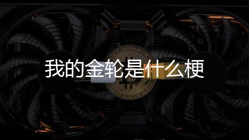 么梗我的金轮是什