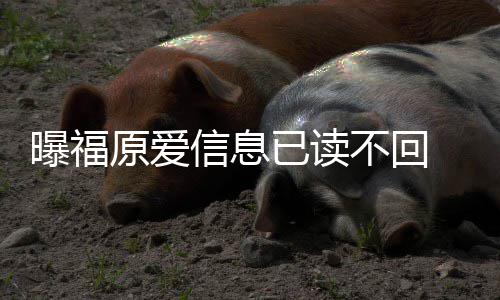 不回曝福产信息理财婚处似拖原爱已读 疑延离