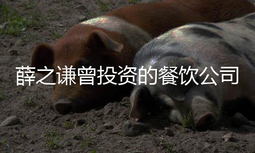 被执谦曾投资1万薛之行人行标的餐的6司成饮公 执